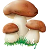 Emoji