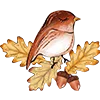 Emoji