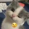 Emoji