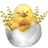 Emoji