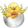 Emoji