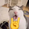 Emoji