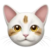 Emoji