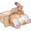 cute cat by @akateriinaa emoji