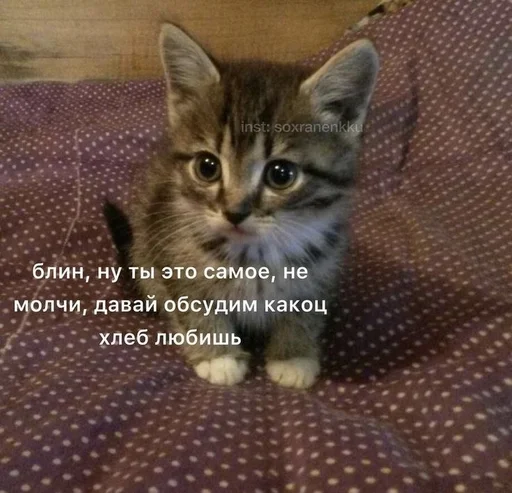  – стикер для Telegram