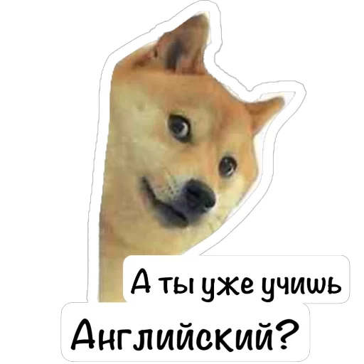 – стикер для Telegram
