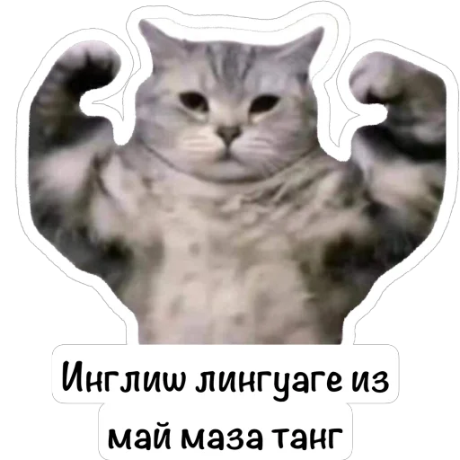  – стикер для Telegram