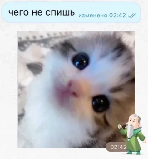  – стикер для Telegram