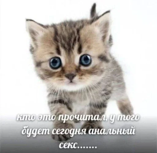  – стикер для Telegram
