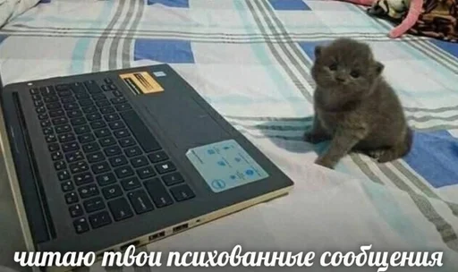  – стикер для Telegram