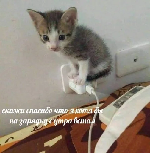  – стикер для Telegram