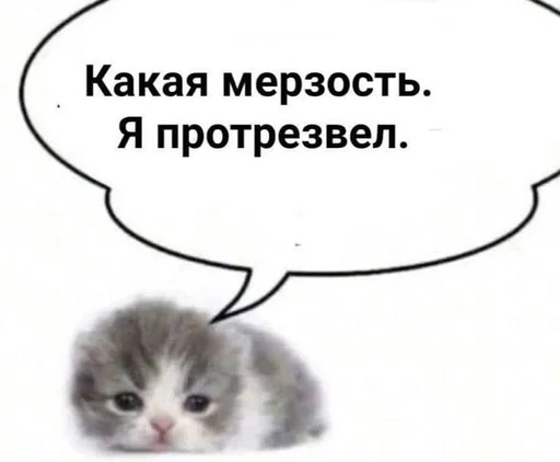  – стикер для Telegram