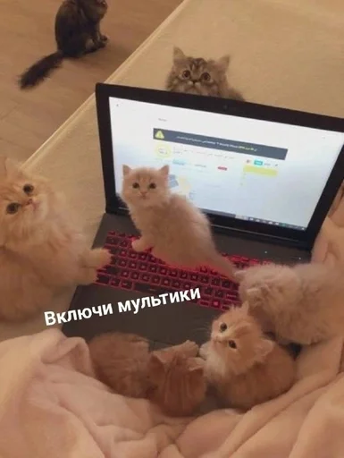  – стикер для Telegram