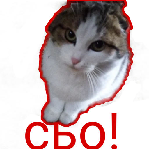  – стикер для Telegram