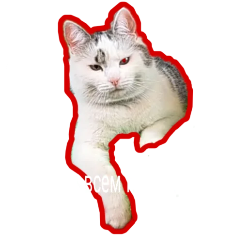  – стикер для Telegram
