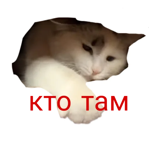  – стикер для Telegram