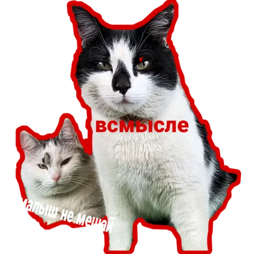  – стикер для Telegram