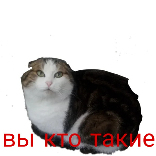  – стикер для Telegram