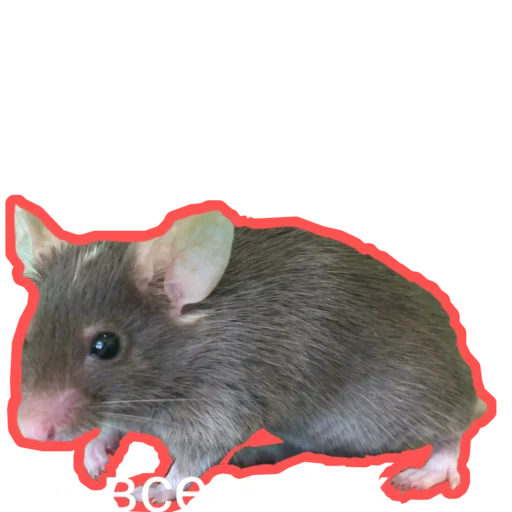  – стикер для Telegram
