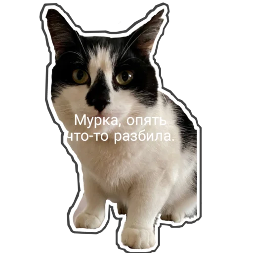  – стикер для Telegram