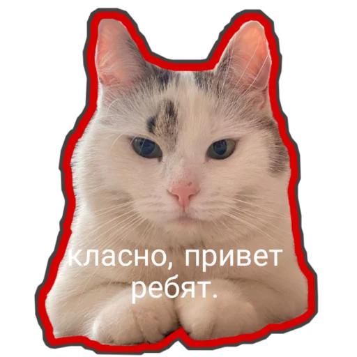  – стикер для Telegram