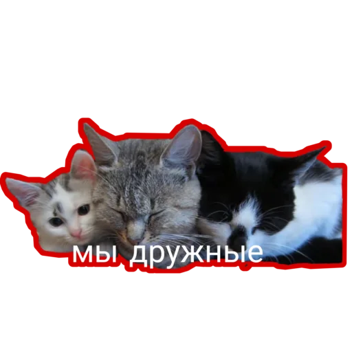  – стикер для Telegram