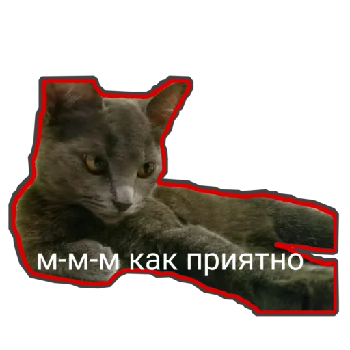  – стикер для Telegram