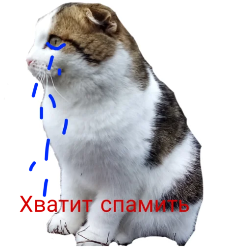  – стикер для Telegram