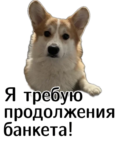  – стикер для Telegram