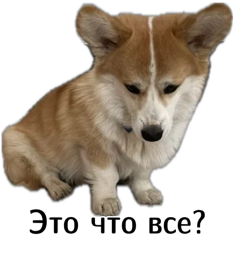  – стикер для Telegram