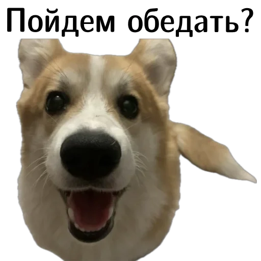  – стикер для Telegram