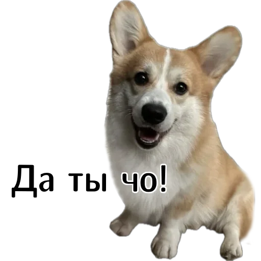  – стикер для Telegram