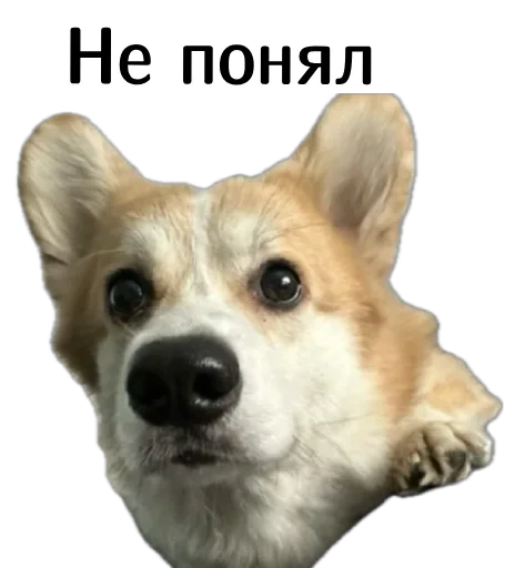  – стикер для Telegram