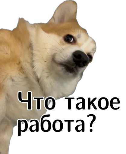  – стикер для Telegram
