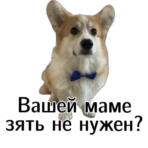  – стикер для Telegram