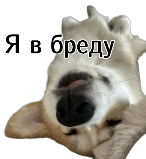  – стикер для Telegram