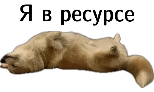  – стикер для Telegram