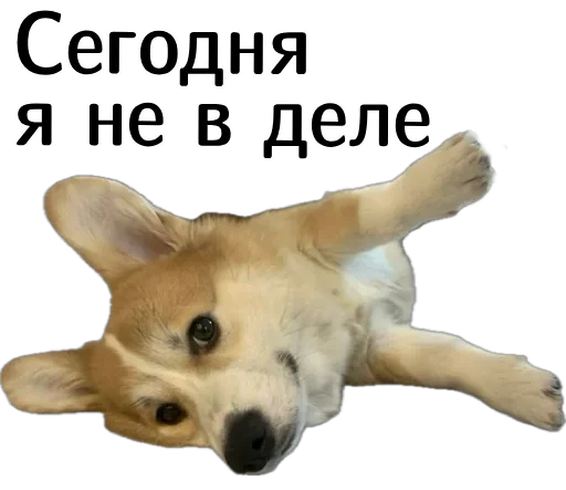  – стикер для Telegram