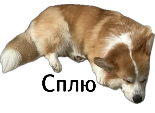  – стикер для Telegram