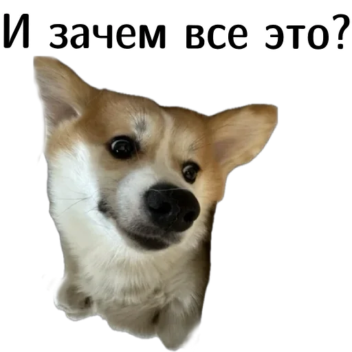  – стикер для Telegram