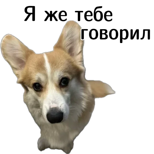  – стикер для Telegram