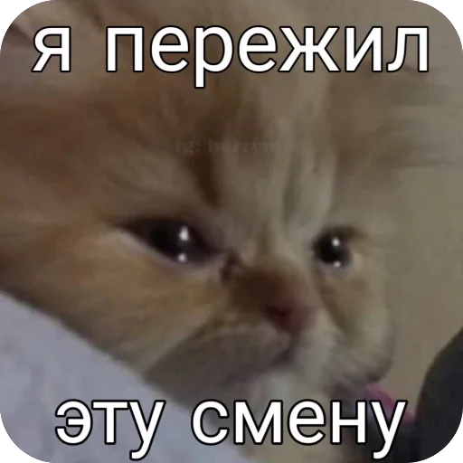  – стикер для Telegram