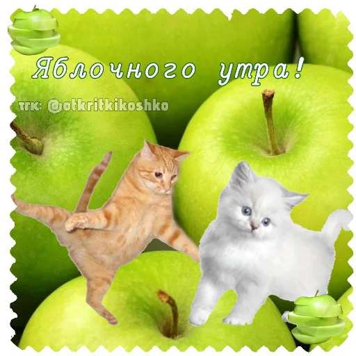  – стикер для Telegram