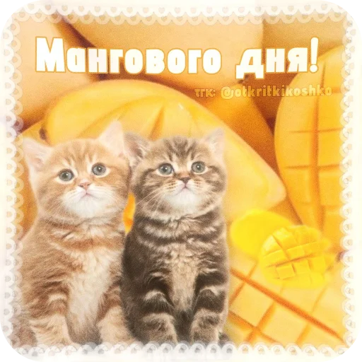  – стикер для Telegram