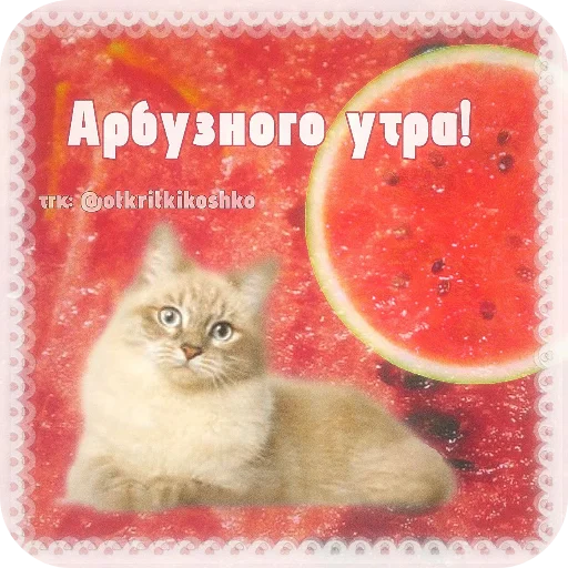  – стикер для Telegram