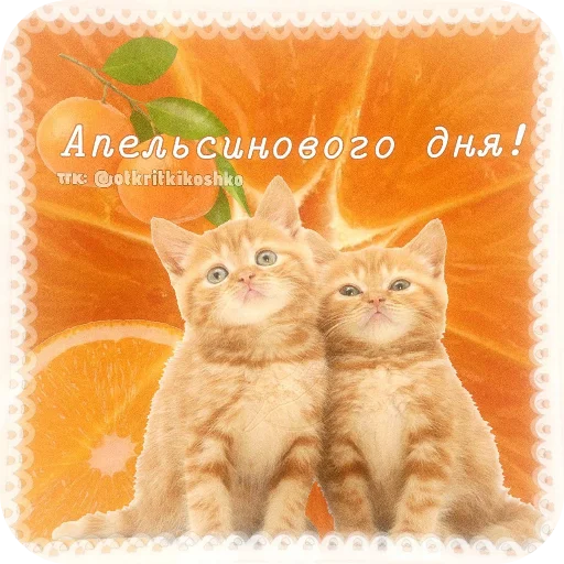  – стикер для Telegram