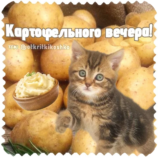 – стикер для Telegram