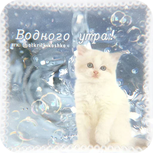  – стикер для Telegram