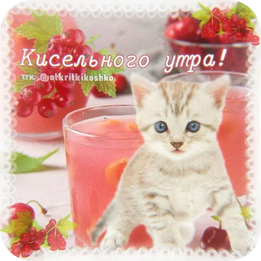  – стикер для Telegram
