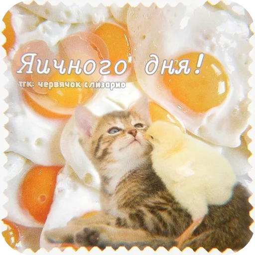 – стикер для Telegram